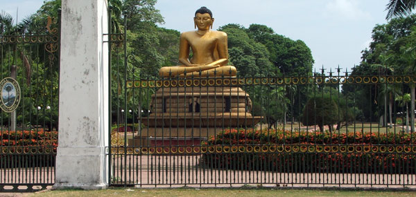 Stor buddha figur på Sri Lanka