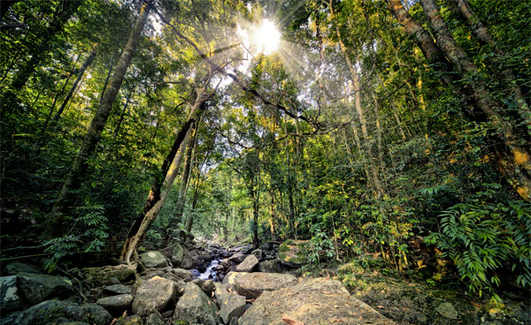 Yala National Park på Sri Lanka