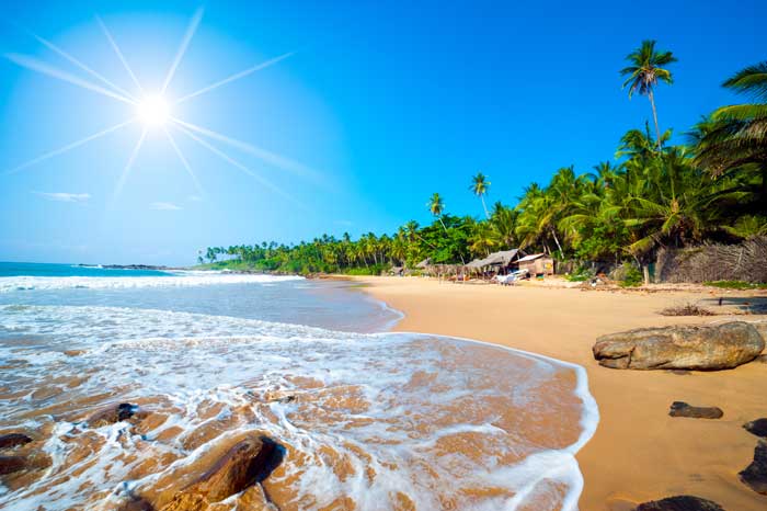 Billedskøn strand på Sri Lanka