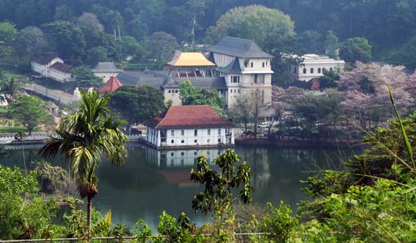 Temple of the Tooth – Sri Lankas vigtigste helligdom