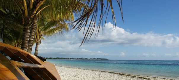 - 3 ting du skal opleve på din rejse til paradisøen Mauritius (1)
